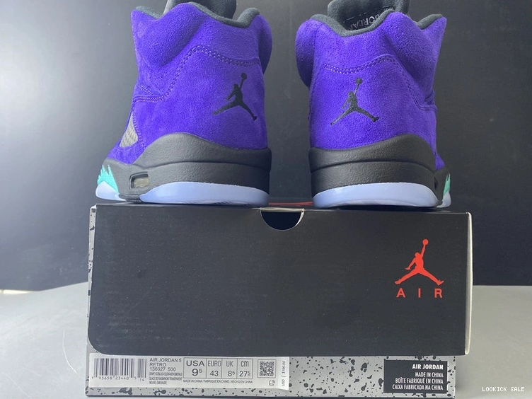 Rep Jordan Air  136027-500 “Alternate Grape” 5 0514